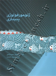 ژئوموفولوژی پدیداری